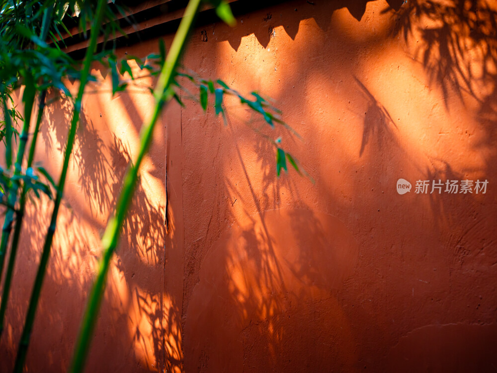 红墙下的竹子竹影背景