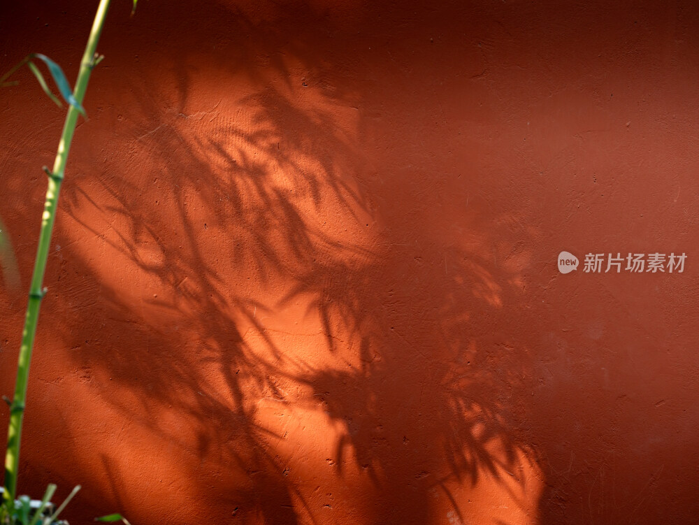 红墙下的竹子竹影背景