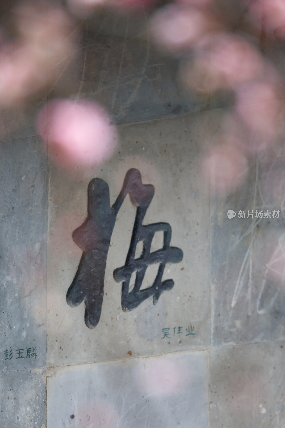 杭州植物园灵峰探梅字书法