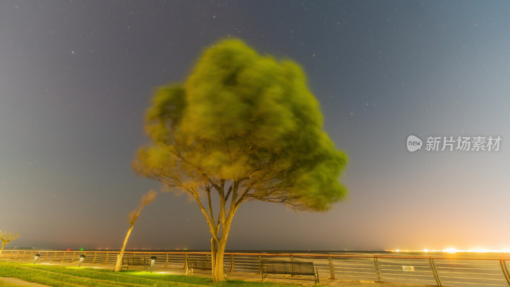 山东省烟台市黄渤海新区马尔贝拉一棵树星空夜景