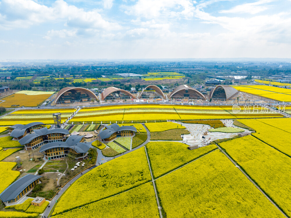 成都天府农博园航拍