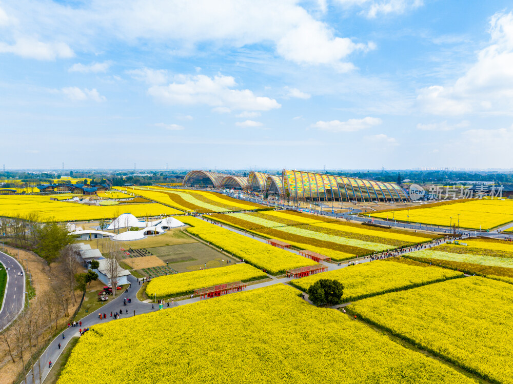 成都天府农博园航拍
