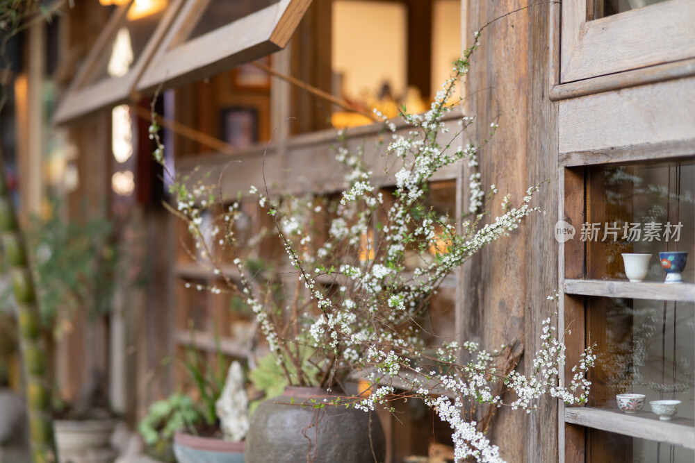 庭院木制窗户外的花朵