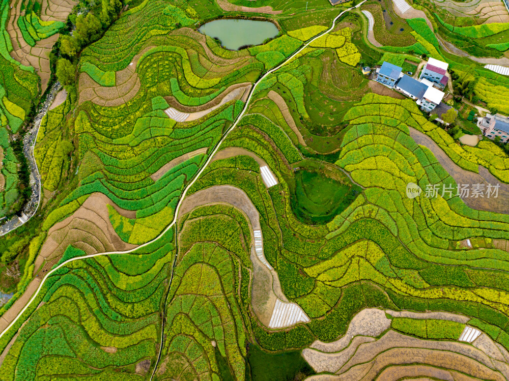 汉阴凤堰古梯田