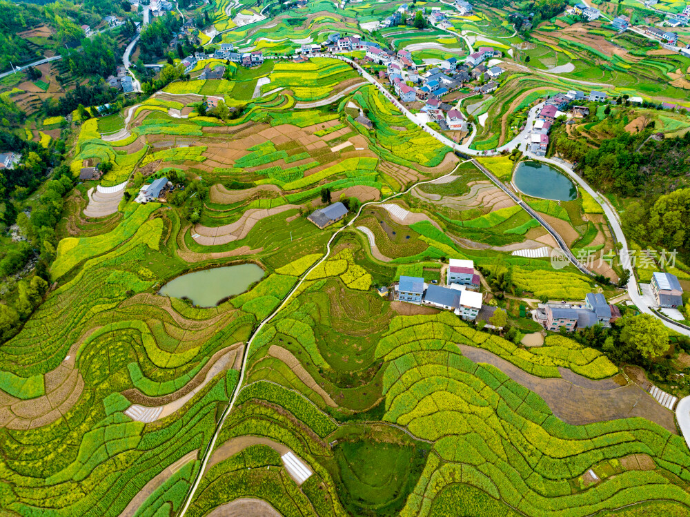 汉阴凤堰古梯田