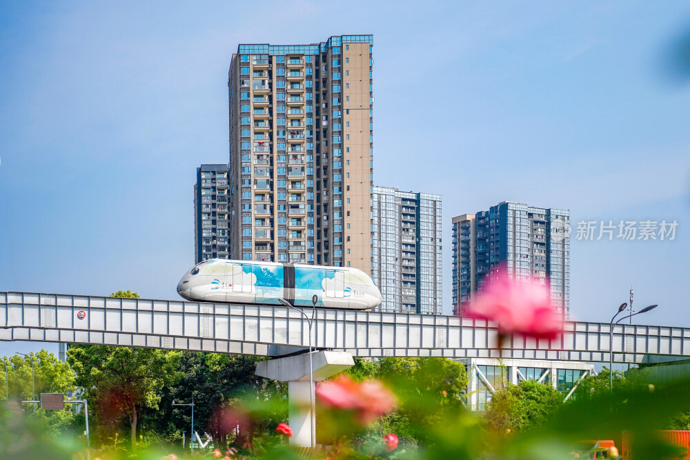 开往夏天的璧山云巴