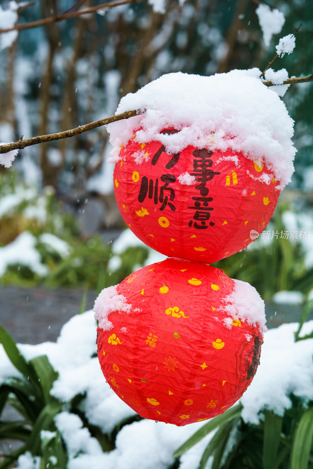 成都龙泉山下雪