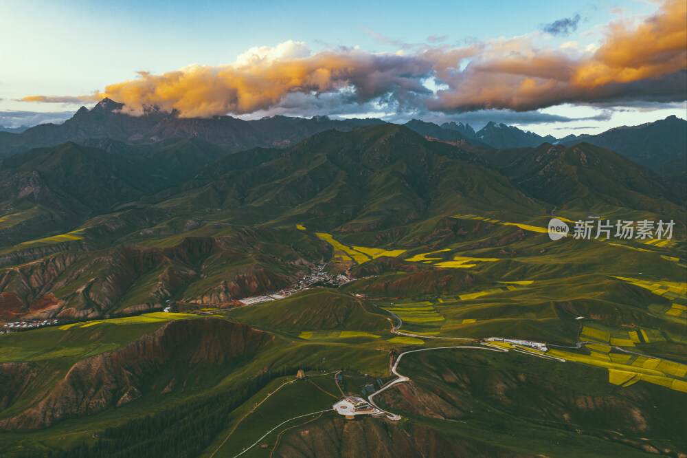航拍油菜花季傍晚的中国青海省海北藏族自治州祁连县卓尔山景区