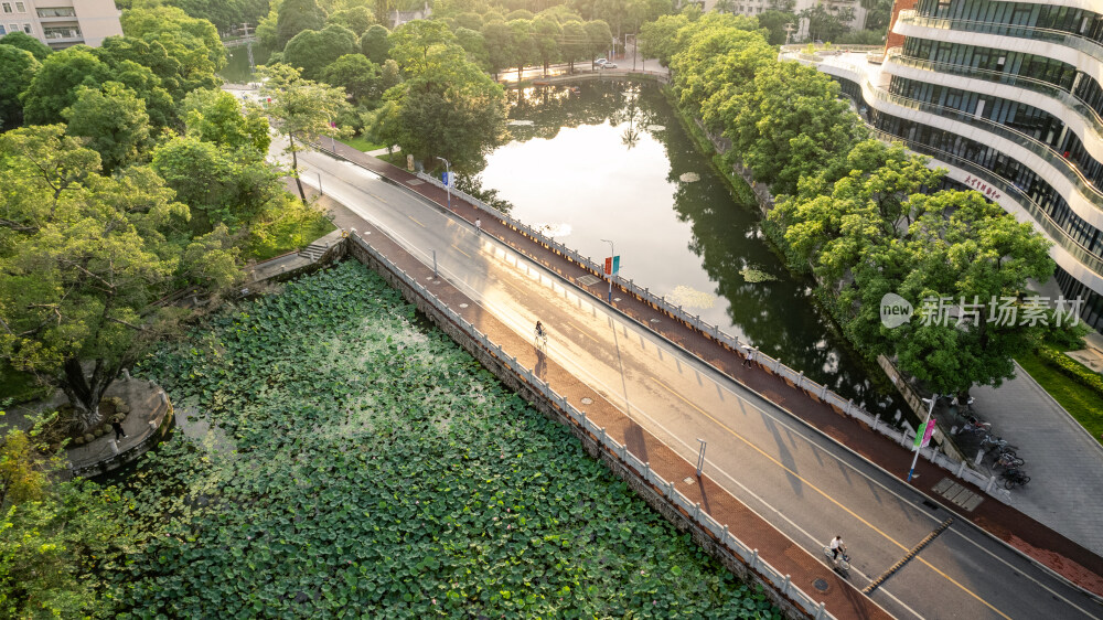 广西大学校园环境