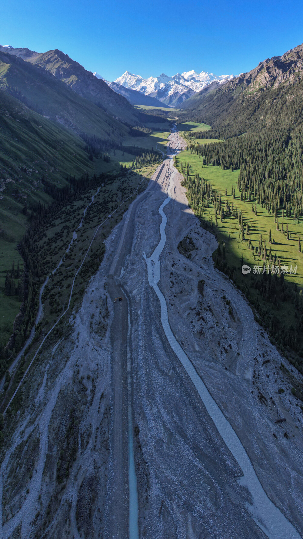 新疆夏塔古道国家森林公园