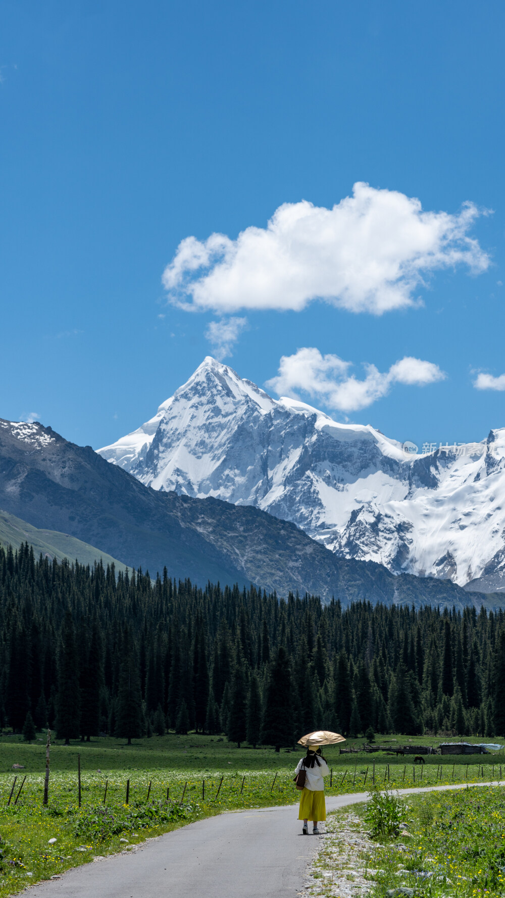 新疆夏塔古道国家森林公园