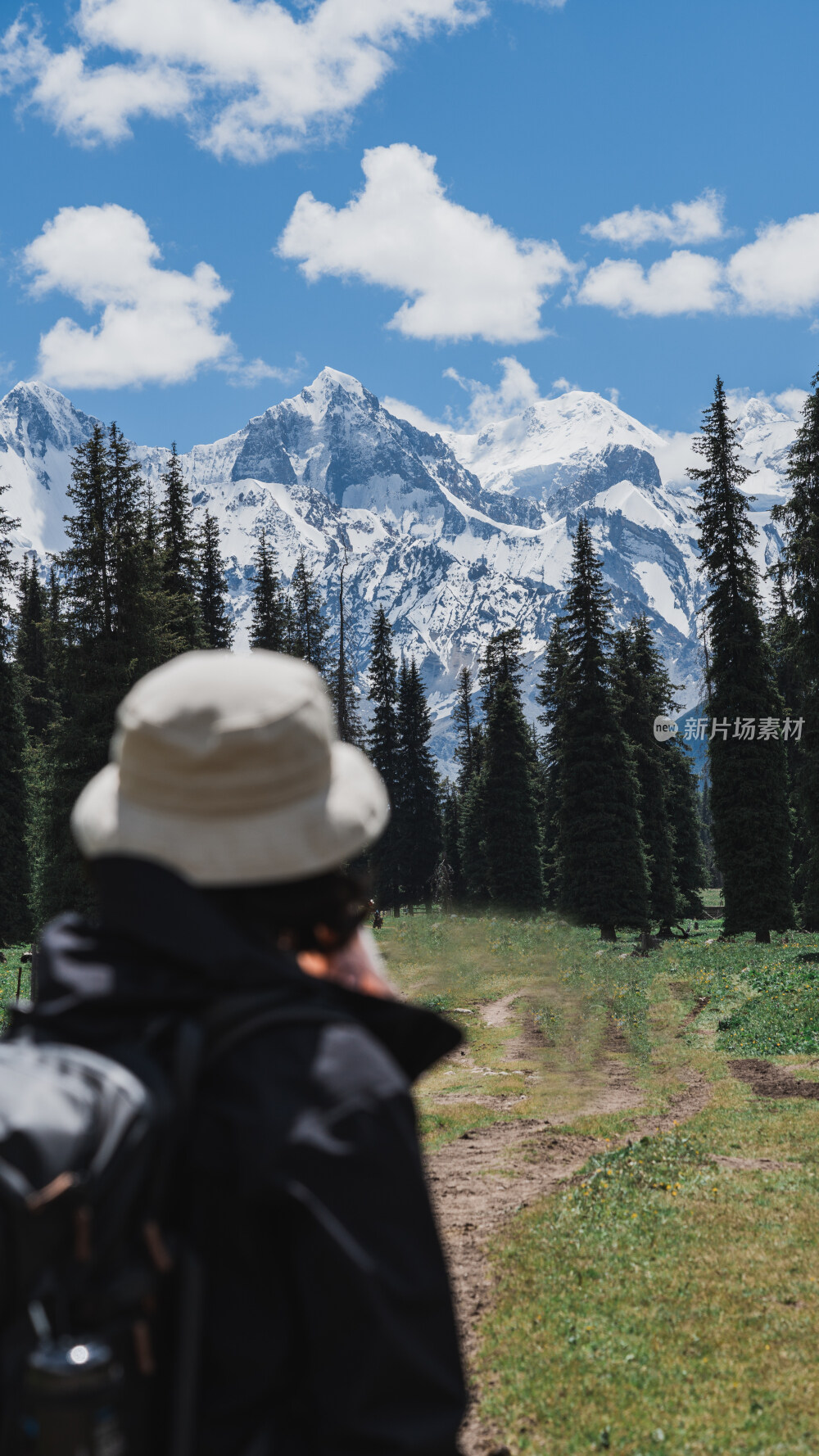 新疆夏塔古道国家森林公园