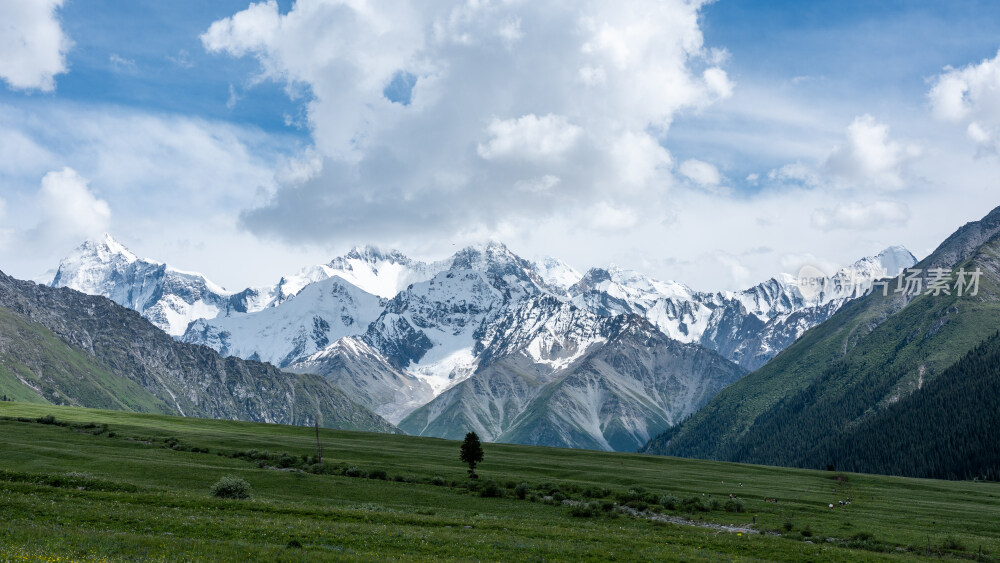 新疆夏塔古道国家森林公园
