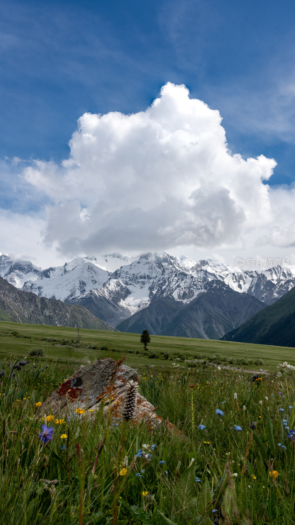 新疆夏塔古道国家森林公园