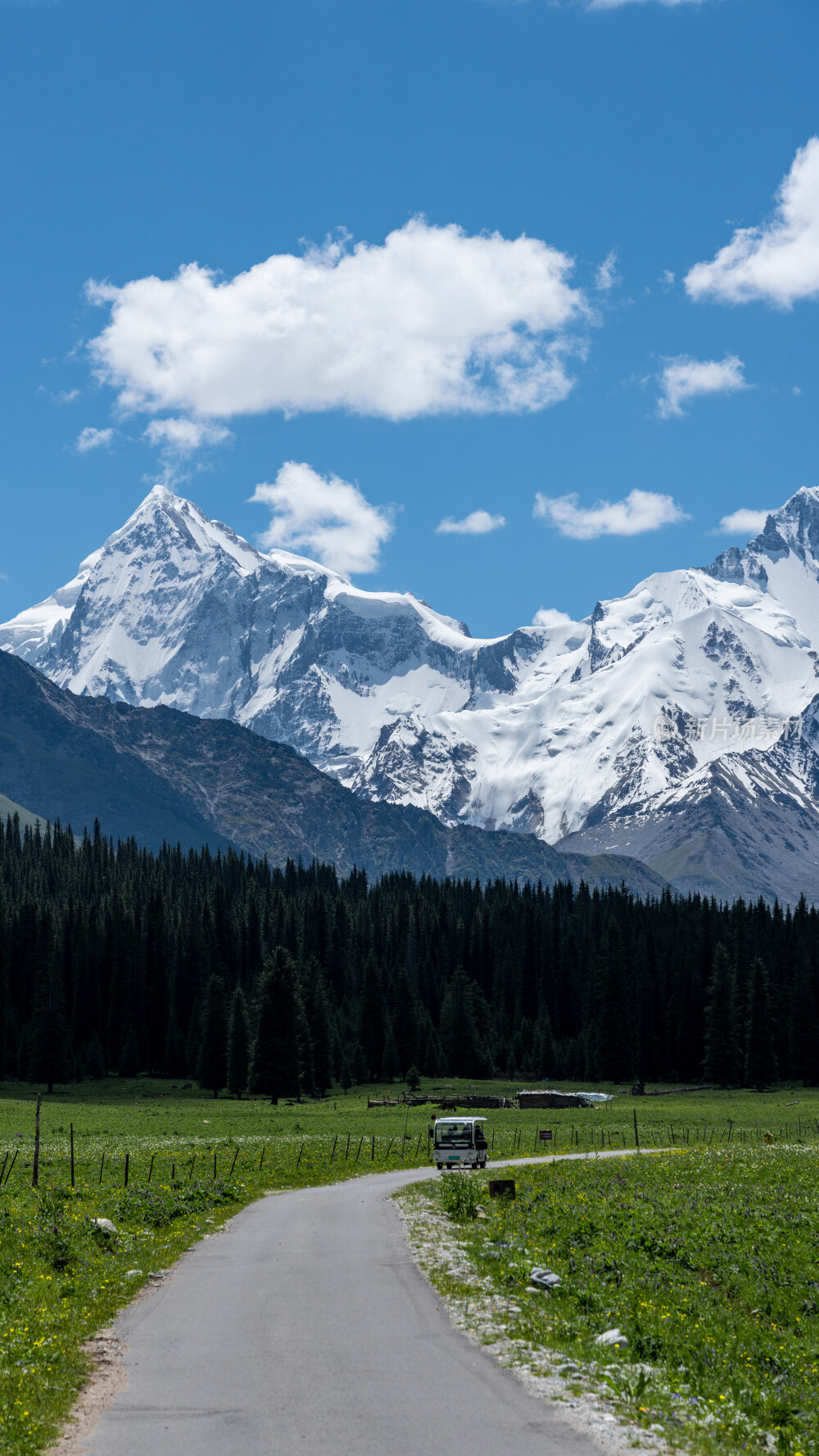 新疆夏塔古道国家森林公园