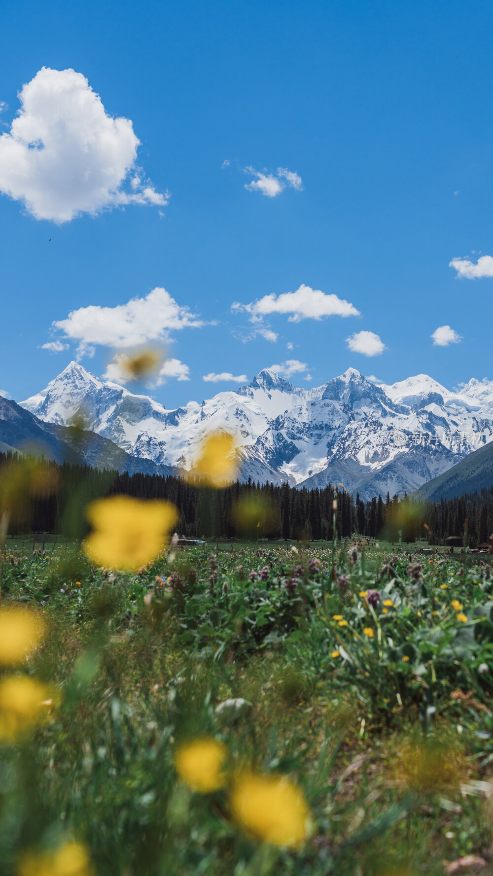 新疆夏塔古道国家森林公园