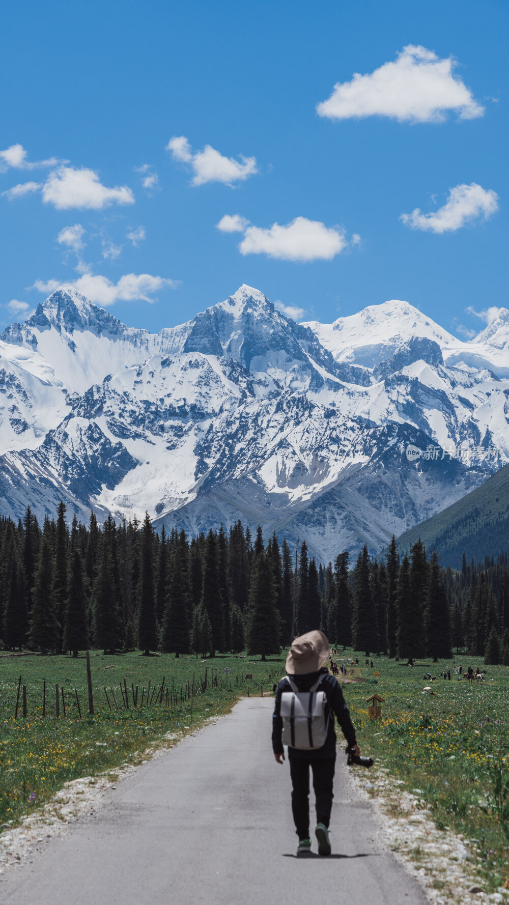 新疆夏塔古道国家森林公园