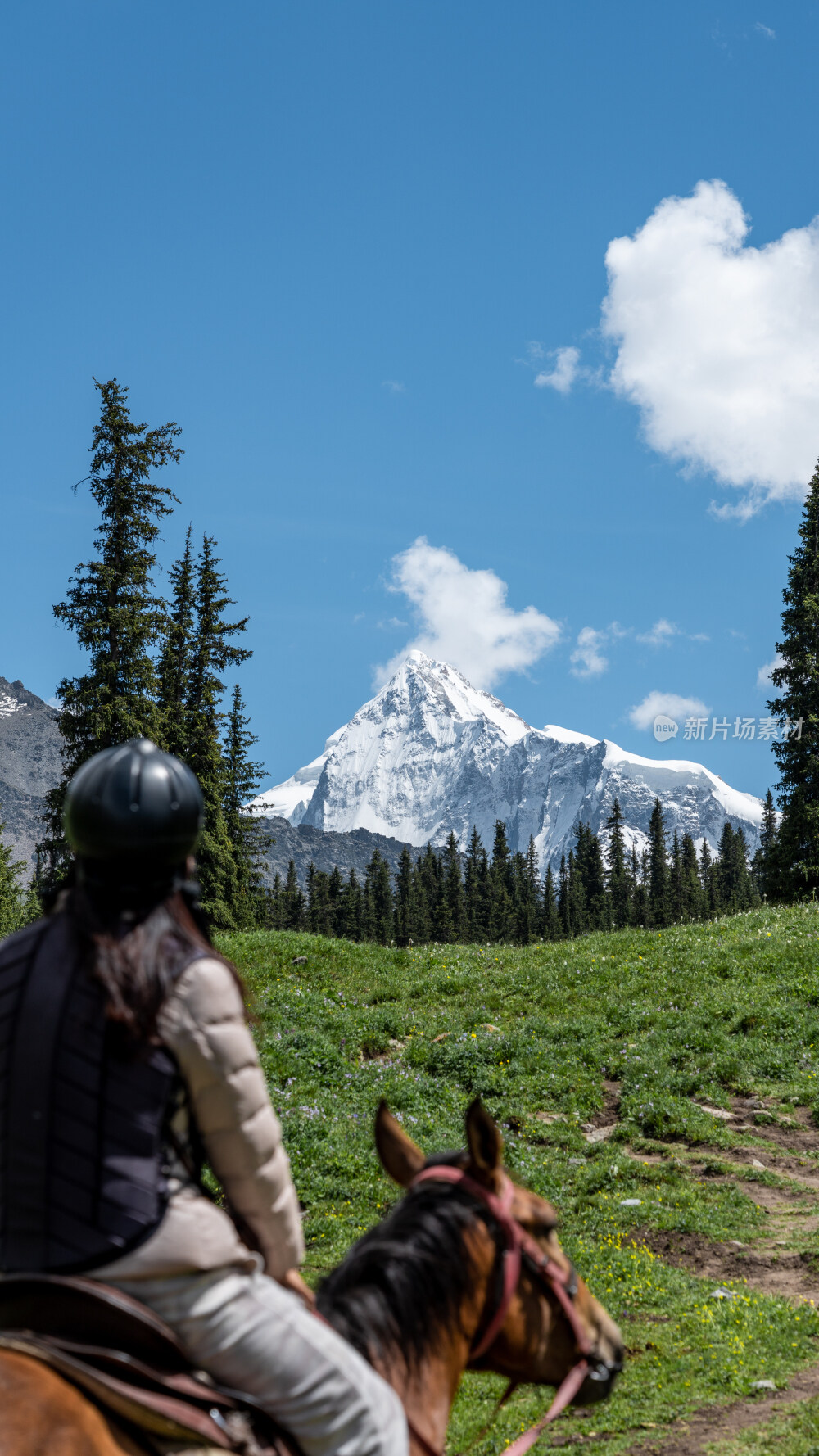 新疆夏塔古道国家森林公园