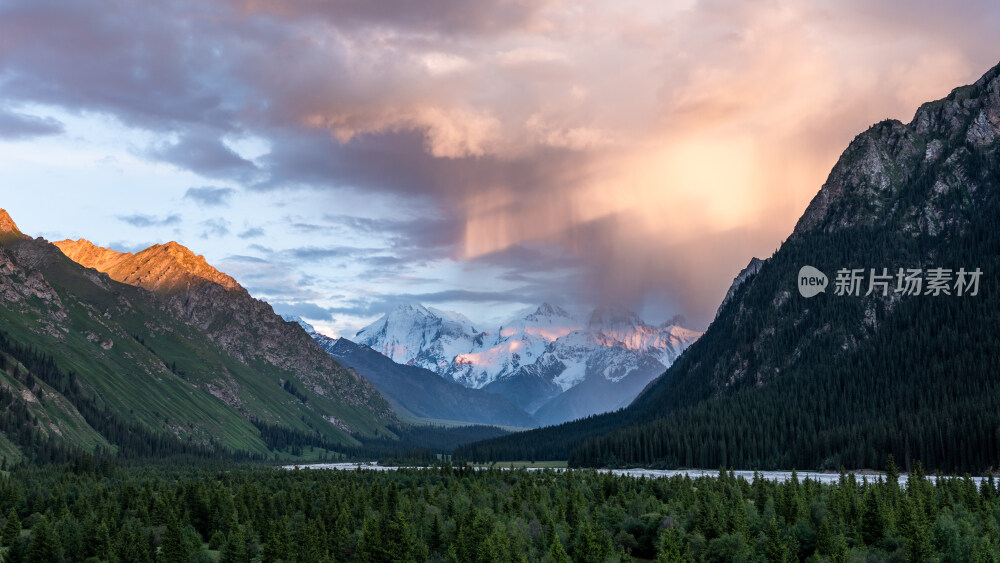 新疆夏塔古道国家森林公园