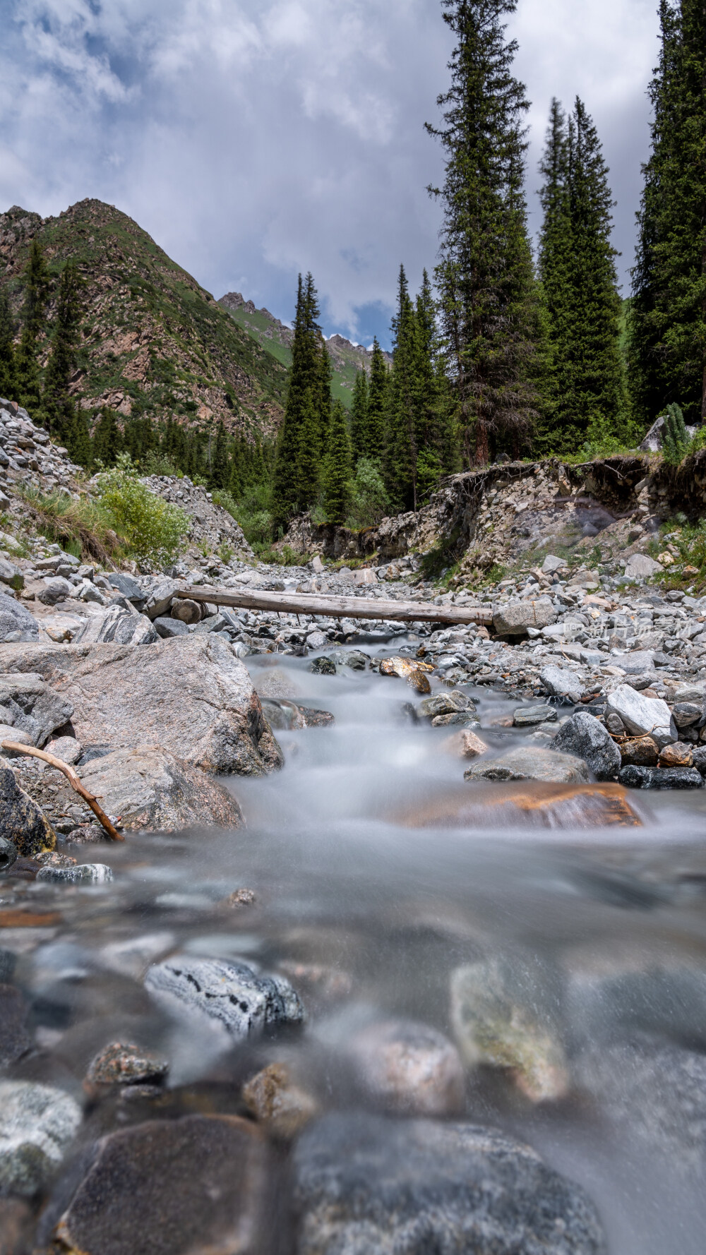 新疆夏塔古道国家森林公园