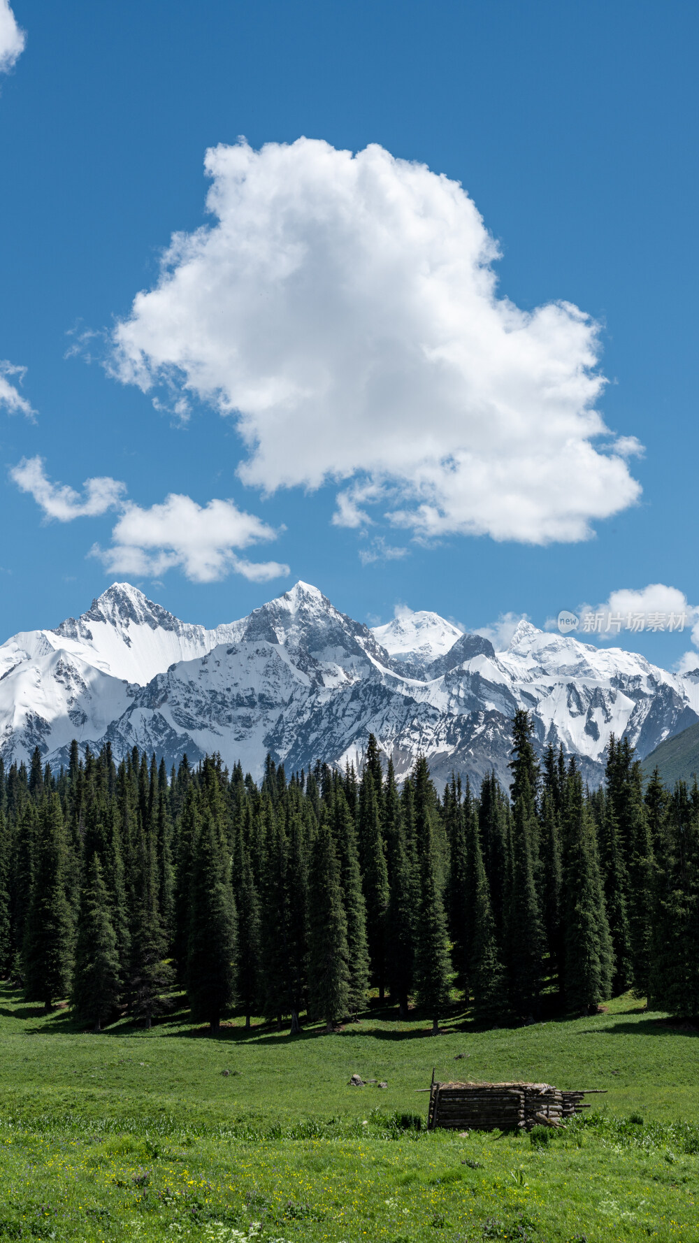 新疆夏塔古道国家森林公园