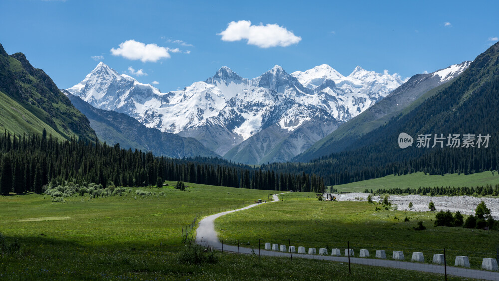 新疆夏塔古道国家森林公园