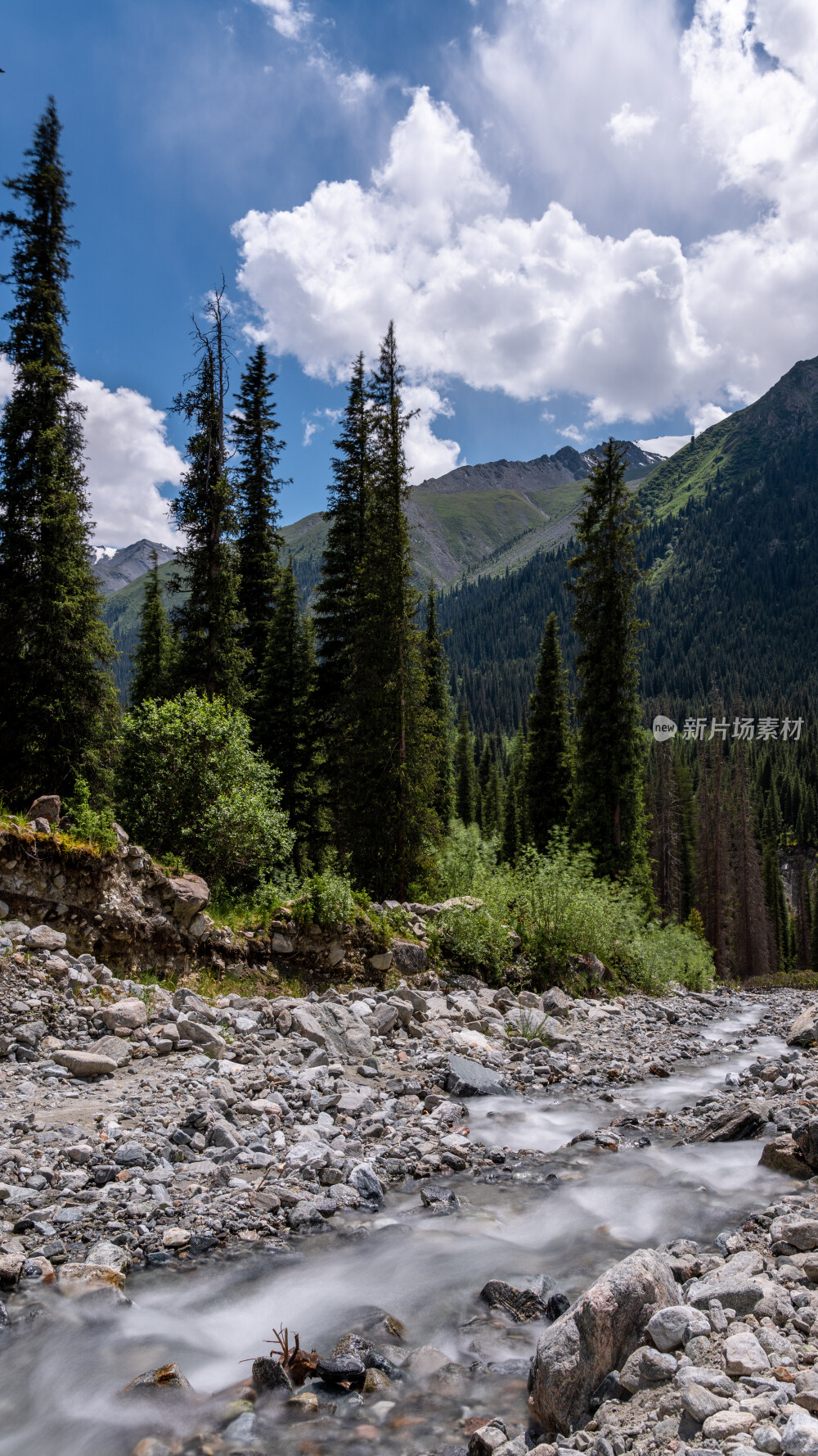 新疆夏塔古道国家森林公园