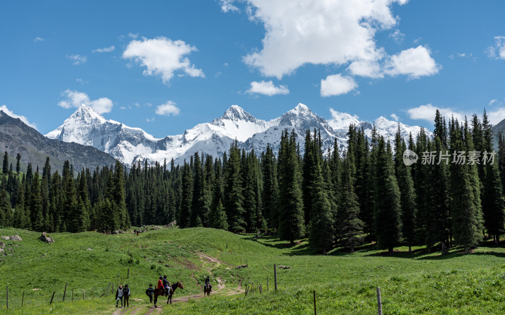 新疆夏塔古道国家森林公园