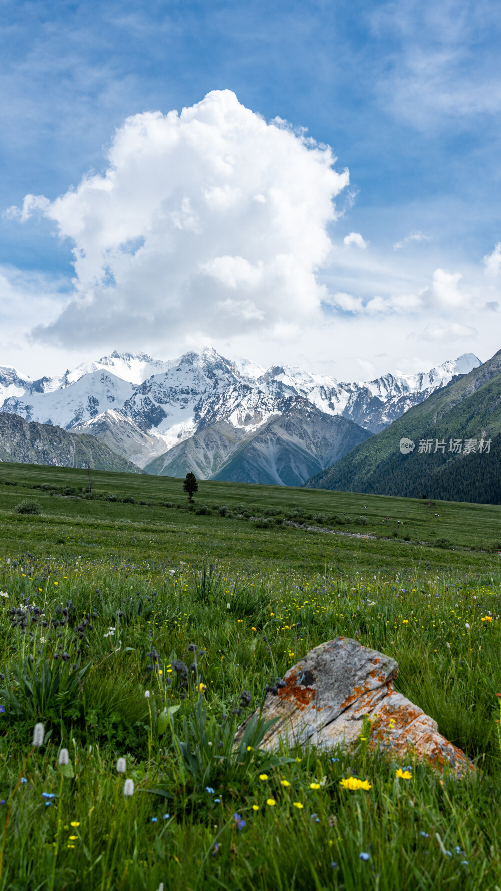 新疆夏塔古道国家森林公园