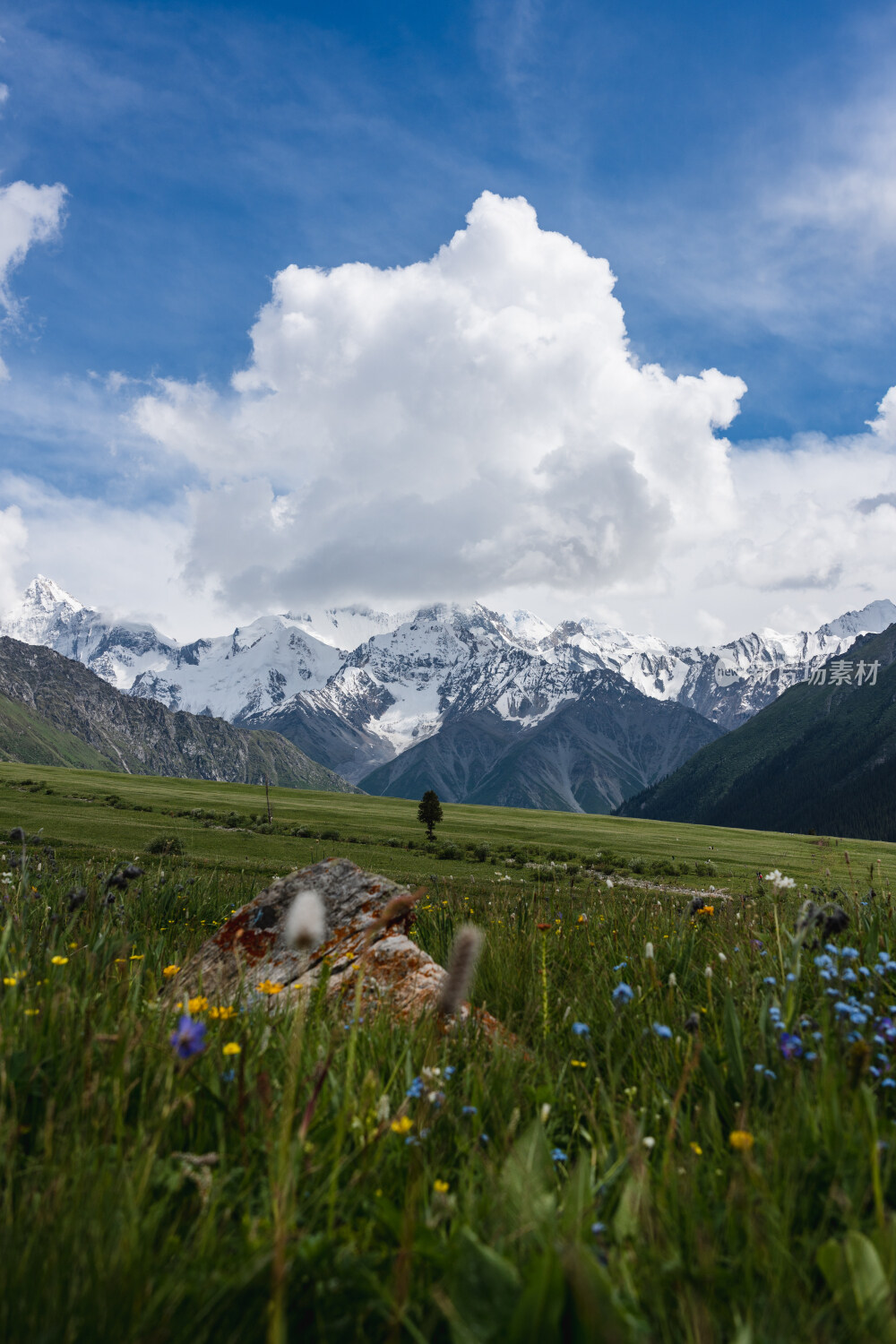 新疆夏塔古道国家森林公园