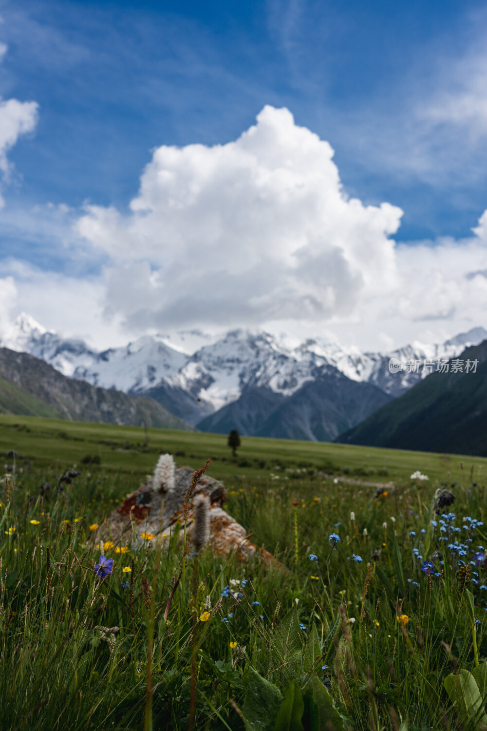 新疆夏塔古道国家森林公园