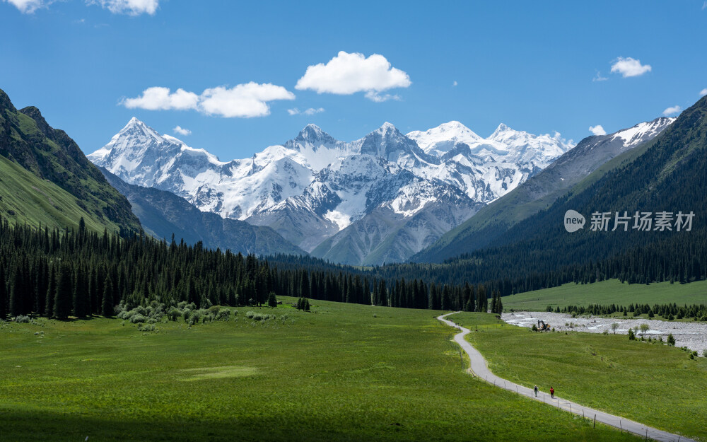 新疆夏塔古道国家森林公园