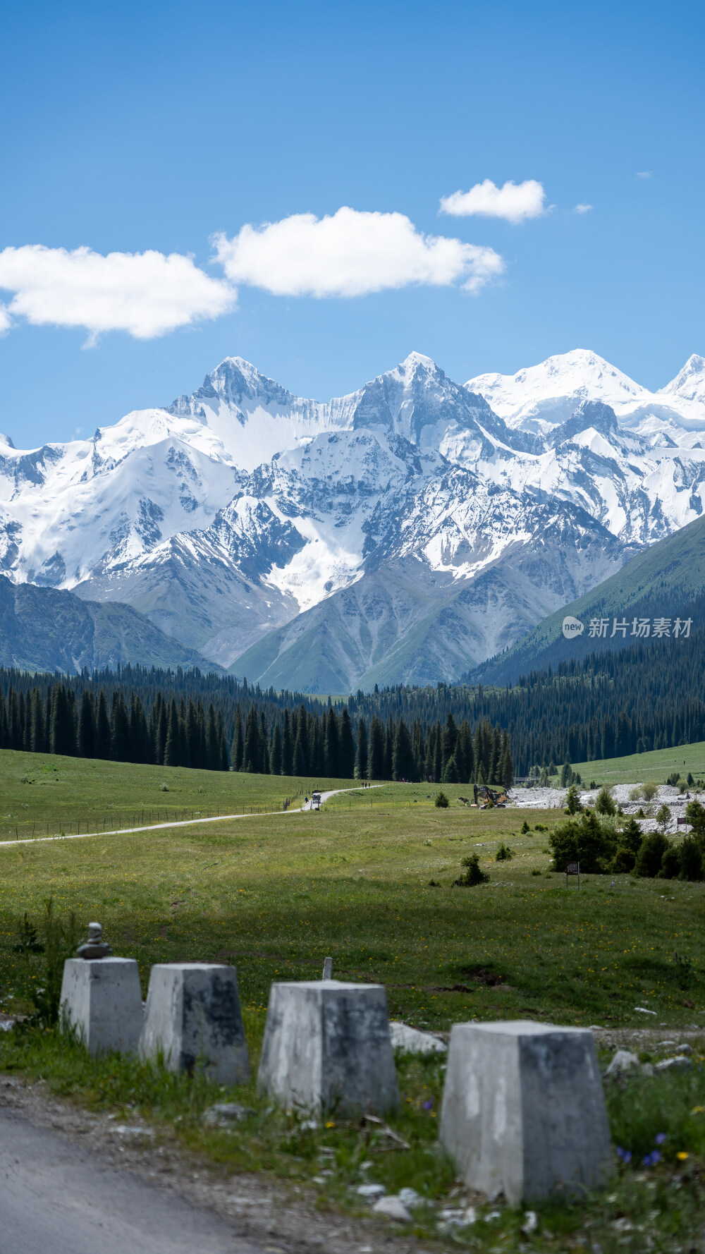 新疆夏塔古道国家森林公园