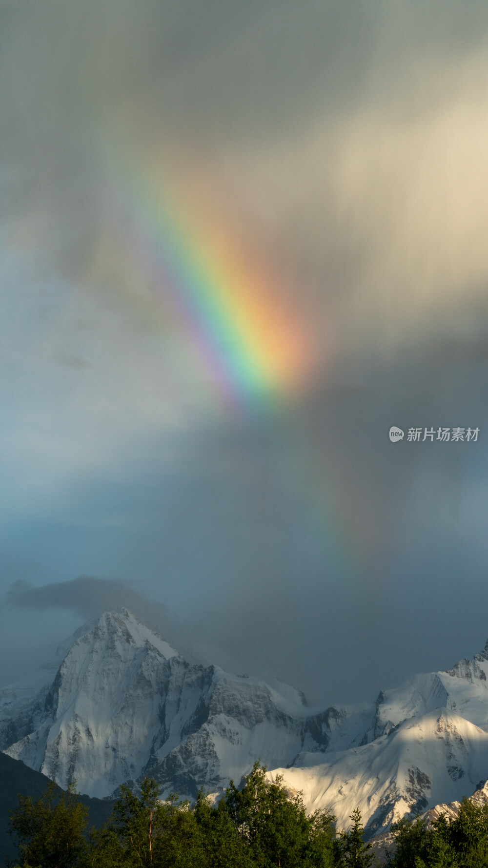 新疆夏塔古道国家森林公园