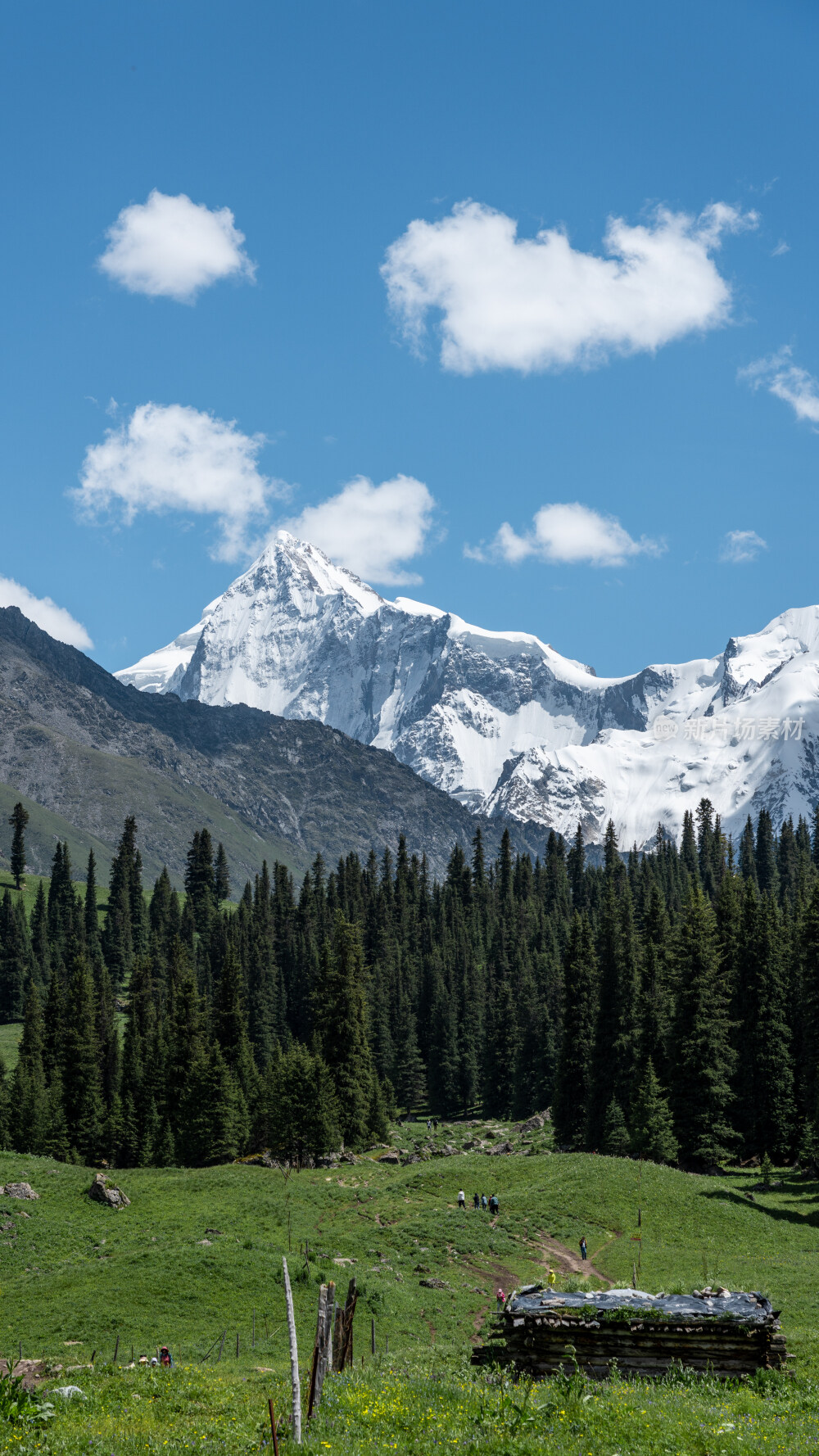 新疆夏塔古道国家森林公园
