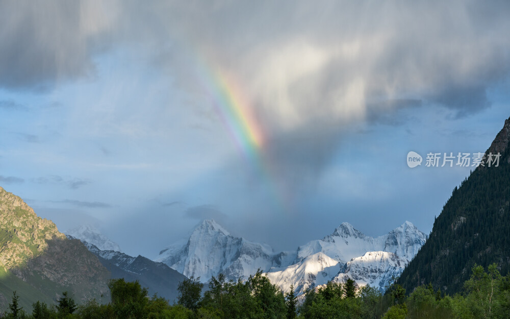 新疆夏塔古道国家森林公园