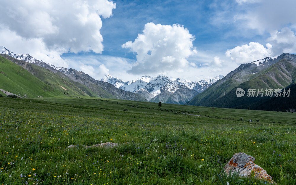 新疆夏塔古道国家森林公园