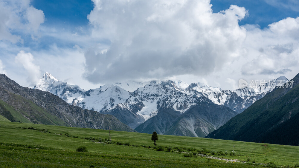 新疆夏塔古道国家森林公园