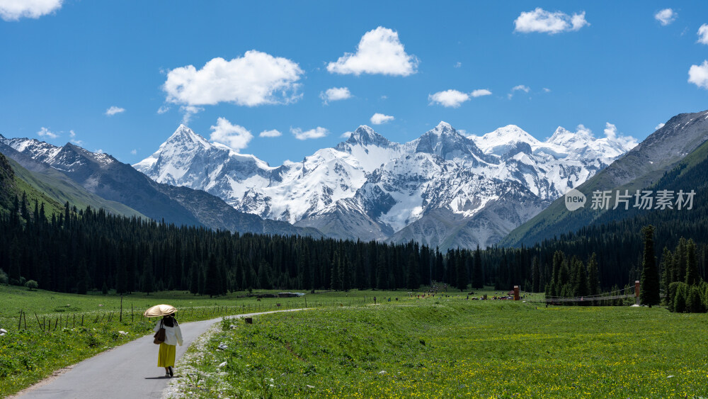新疆夏塔古道国家森林公园