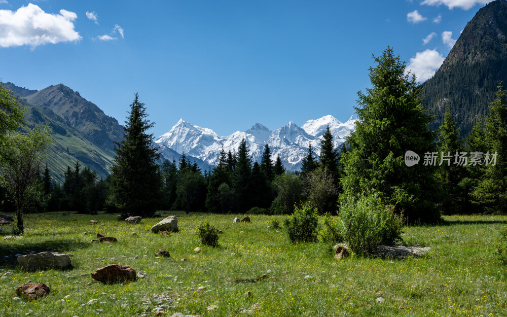 新疆夏塔古道国家森林公园
