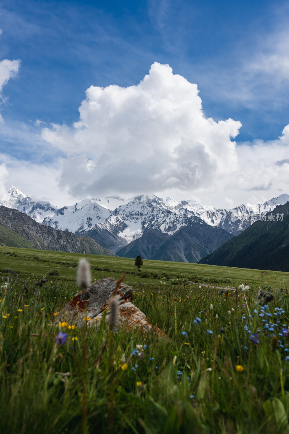 新疆夏塔古道国家森林公园
