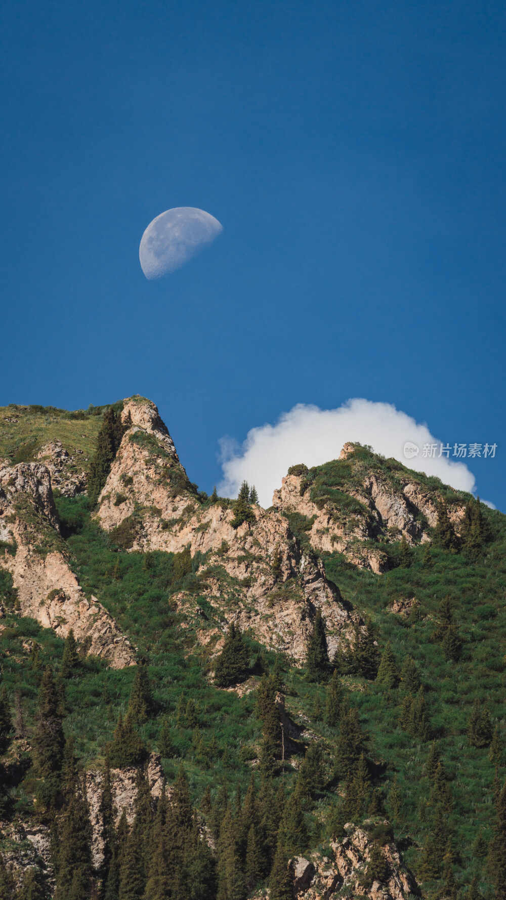 新疆夏塔古道国家森林公园