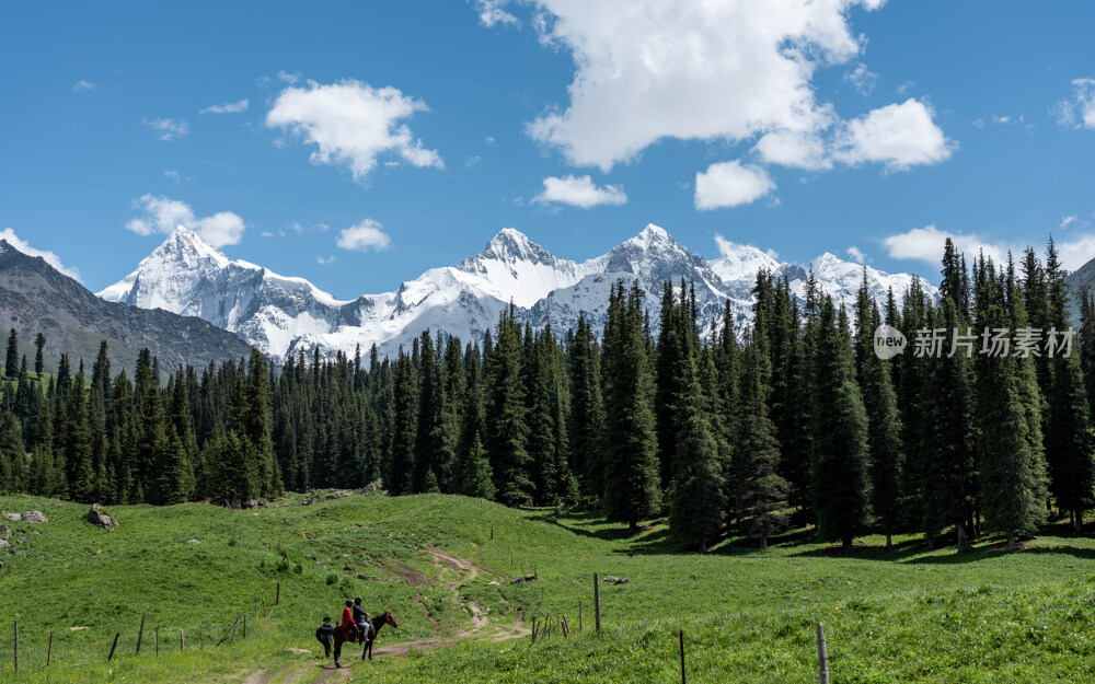 新疆夏塔古道国家森林公园