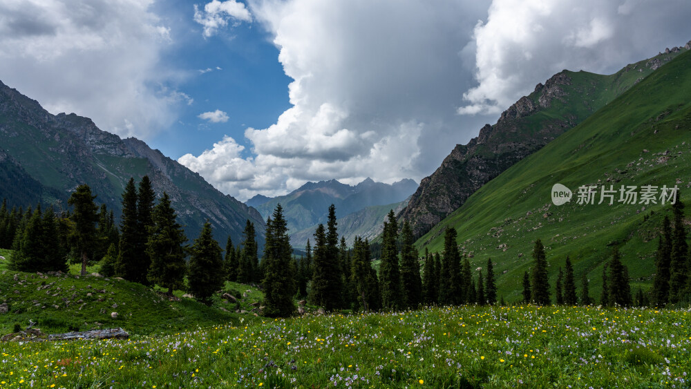 新疆夏塔古道国家森林公园