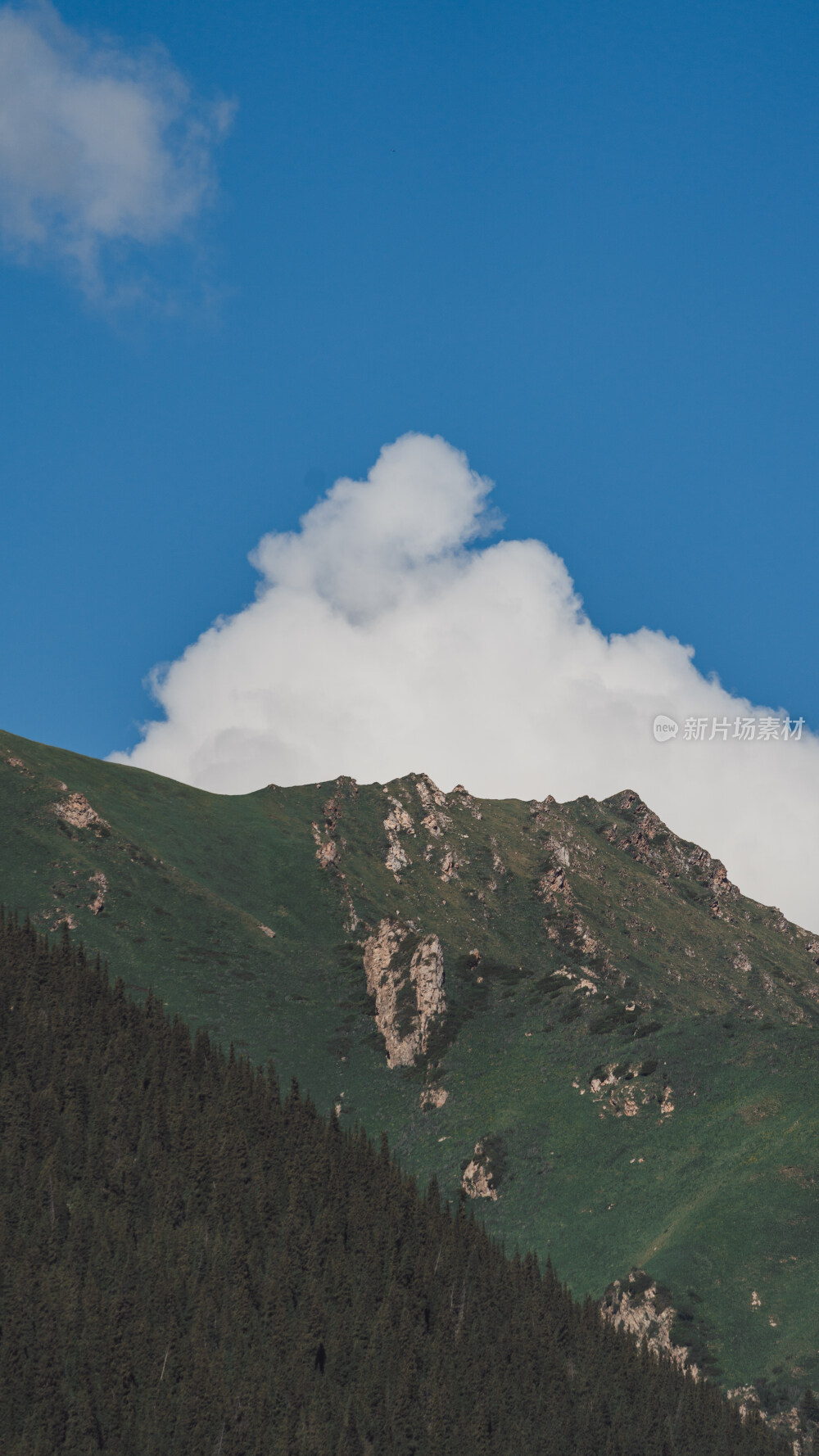 新疆夏塔古道国家森林公园