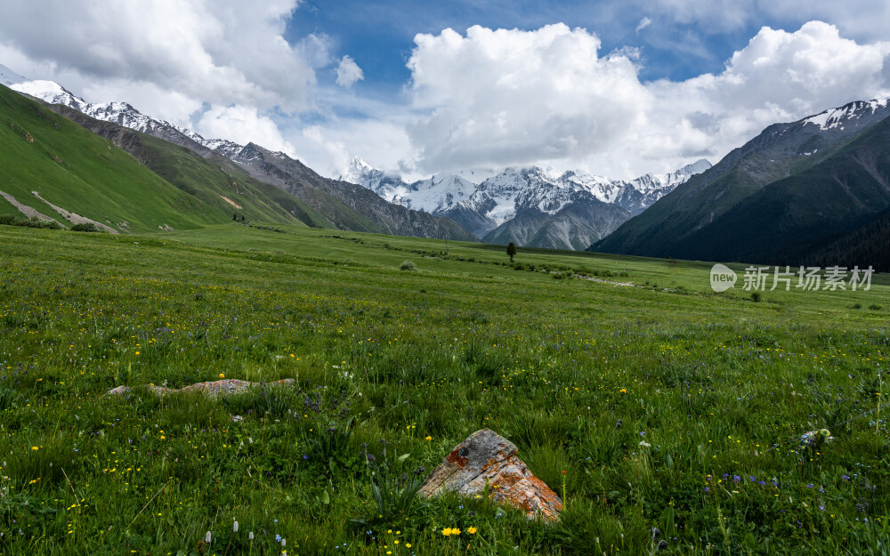 新疆夏塔古道国家森林公园