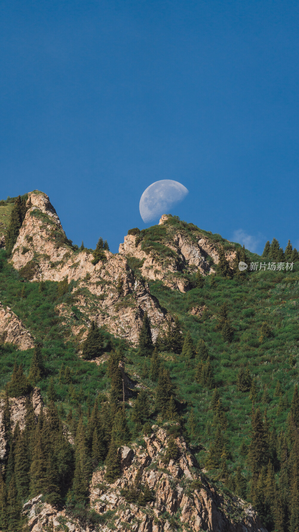 新疆夏塔古道国家森林公园