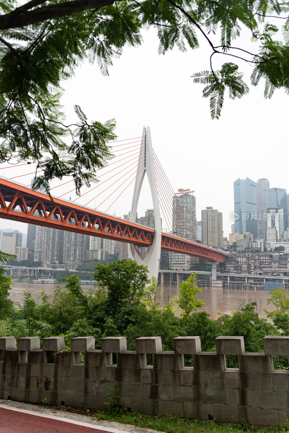 重庆江滩公园里看千厮门长江大桥的风景图片