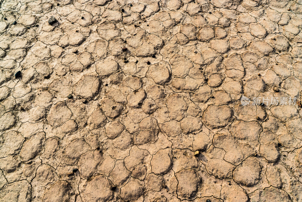 干涸龟裂的土地