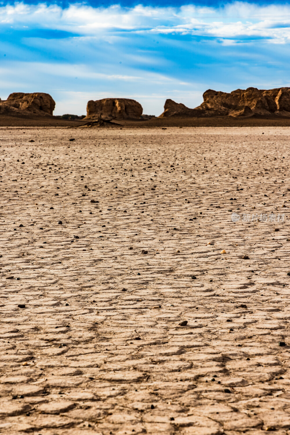 干涸龟裂的土地